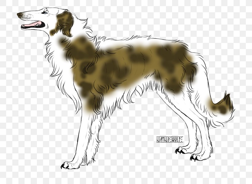 Silken Windhound Borzoi Saluki Dog Breed Rare Breed (dog), PNG, 750x600px, Silken Windhound, Afghan Hound, Borzoi, Breed, Breed Group Dog Download Free