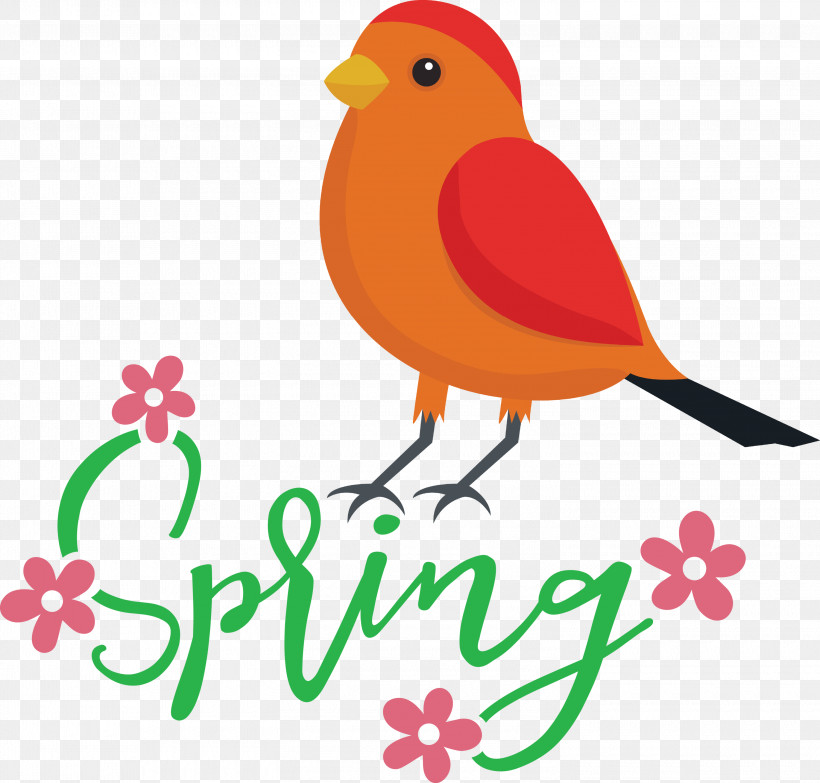 Spring Bird, PNG, 3000x2866px, Spring, Beak, Bird, Birds, Menu Download Free