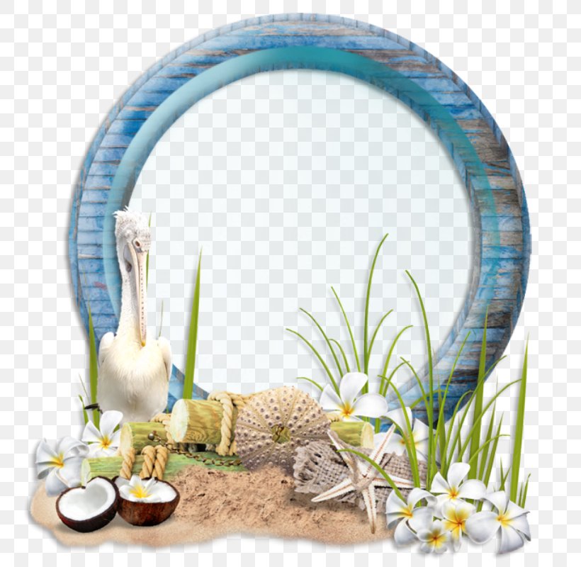 Image Coconut Picture Frames Design Desktop Wallpaper, PNG, 781x800px, Coconut, Aquarium Decor, Arch, Art, Blog Download Free