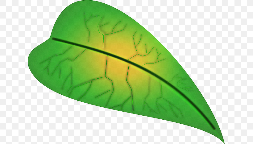 Leaf Green Plant Structure Science Biology, PNG, 640x467px, Leaf, Biology, Green, Plant, Plant Structure Download Free
