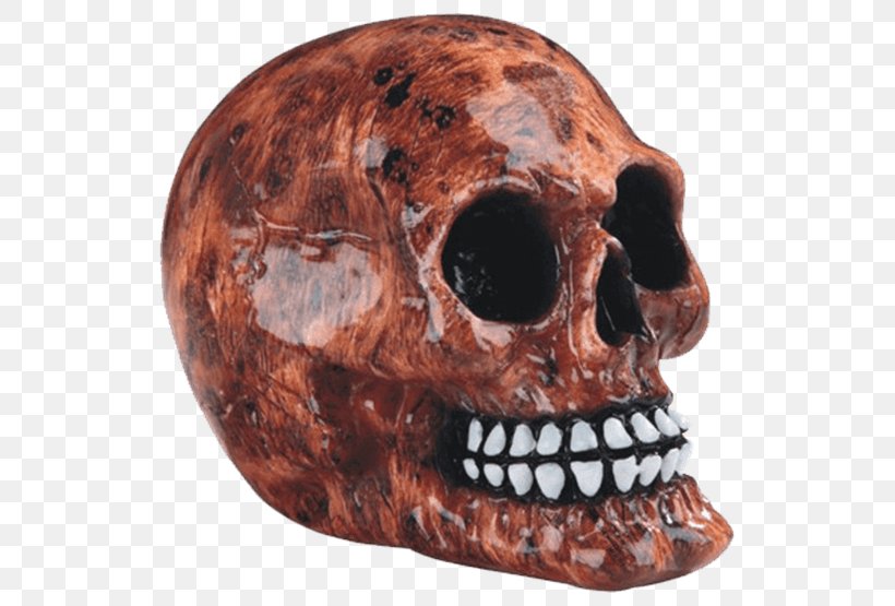 Skull Bone Human Skeleton Head, PNG, 555x555px, Skull, Bone, Crystal Skull, Day Of The Dead, Death Download Free