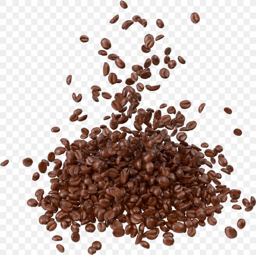 Coffee Bean Espresso Cafe, PNG, 1142x1139px, Coffee, Bean, Cafe, Coffee Bean, Espresso Download Free