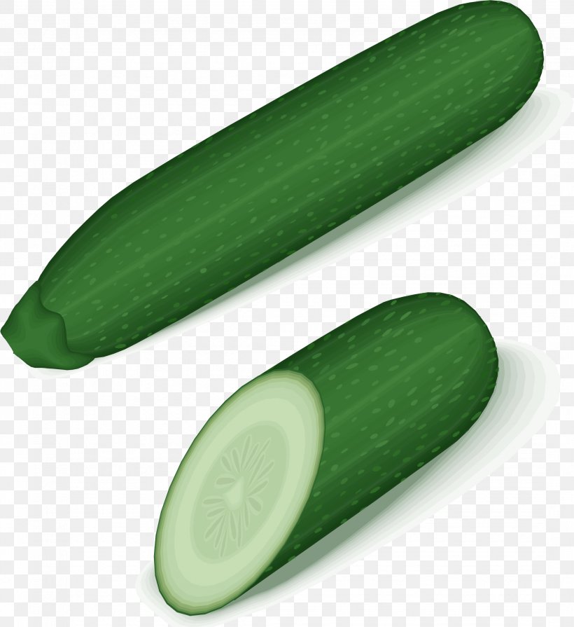 Cucumber Zucchini Vegetable Cucurbita Clip Art, PNG, 2161x2359px, Cucumber, Cake, Cucumber Gourd And Melon Family, Cucumis, Cucurbita Download Free