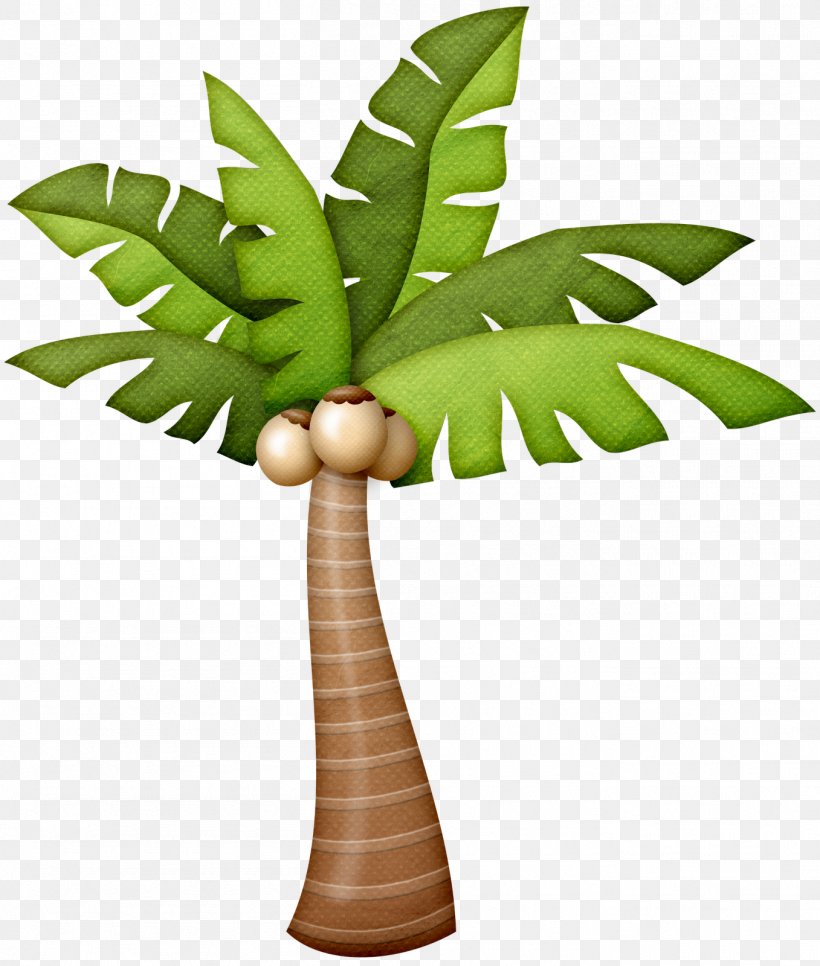 Arecaceae Drawing Tree Art Photography, PNG, 1357x1600px, Arecaceae, Arecales, Art, Description, Drawing Download Free