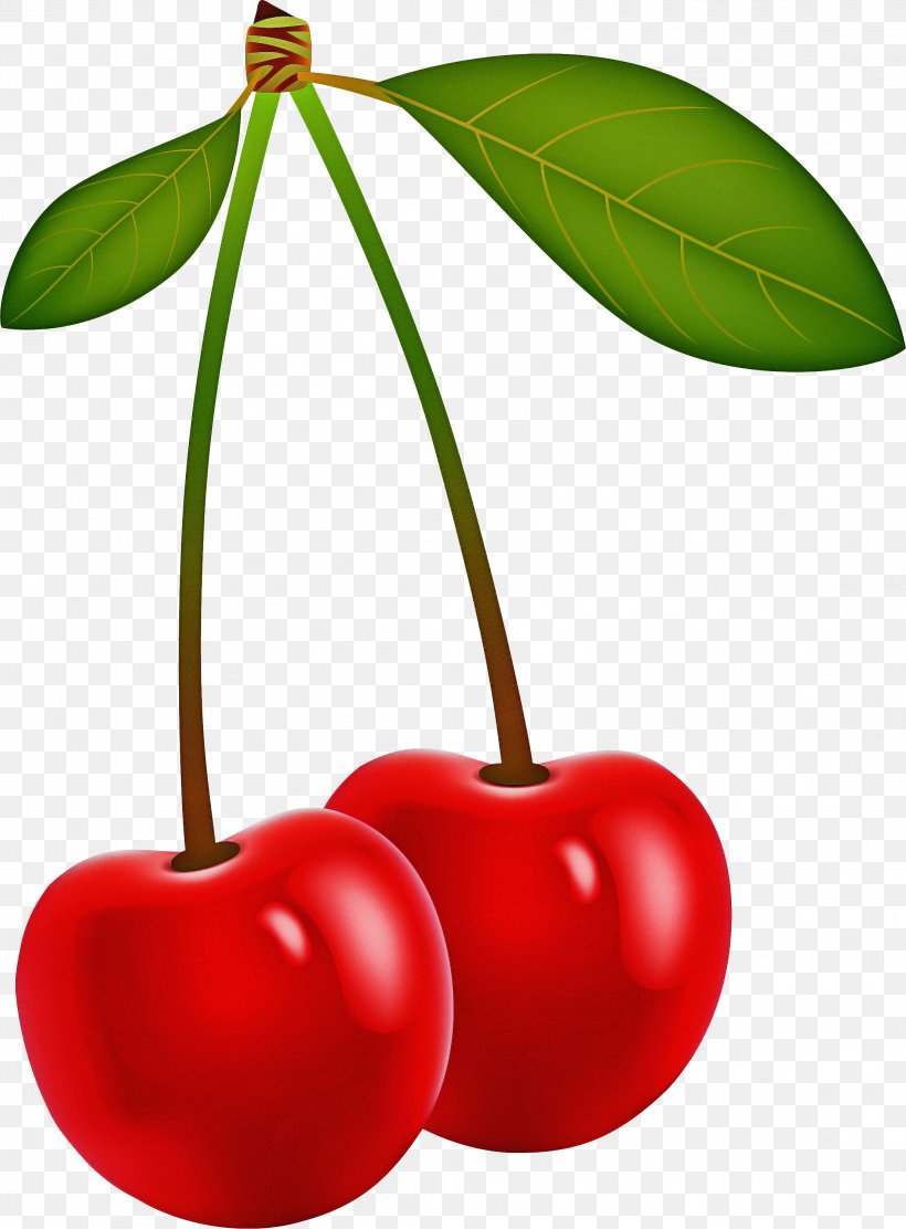 Family Tree Background, PNG, 2211x2999px, Food, Accessory Fruit, Acerola Family, Cherry, Drupe Download Free
