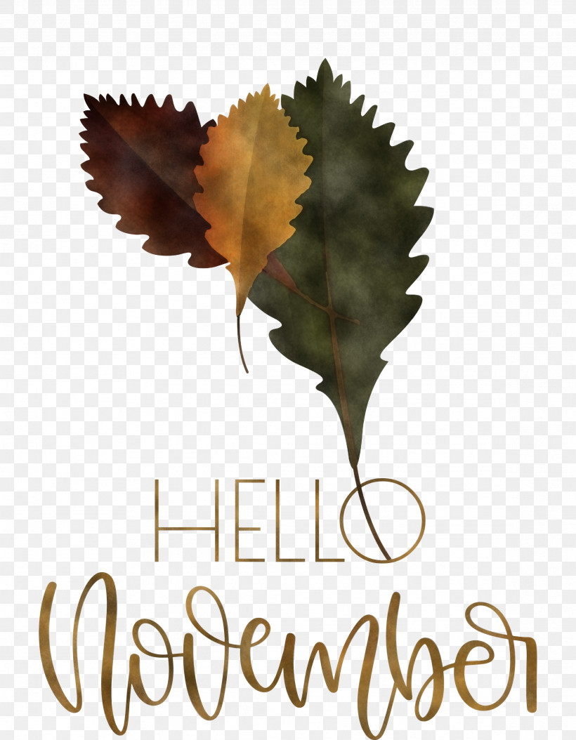 Hello November November, PNG, 2331x2999px, Hello November, Biology, Leaf, Meter, November Download Free