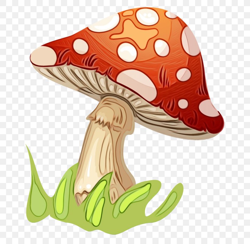 Mushroom Agaric Animal Figure Clip Art, PNG, 737x800px, Watercolor, Agaric, Animal Figure, Mushroom, Paint Download Free