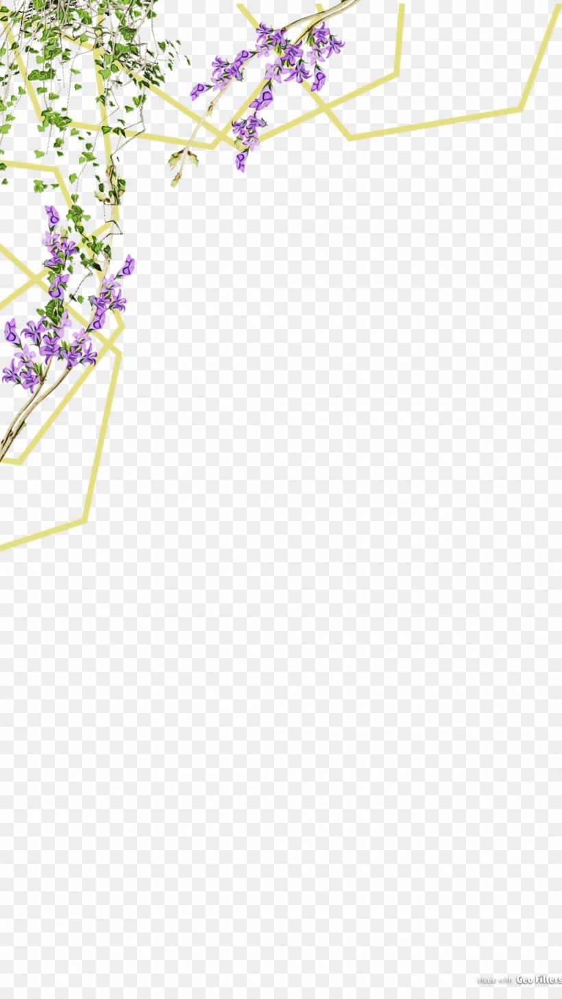 Image Desktop Wallpaper Clip Art Design, PNG, 2160x3840px, Flower Frame, Art, Flower, Lilac, Painter Download Free