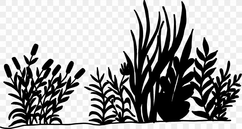 Silhouette Desktop Wallpaper Clip Art, PNG, 3377x1809px, Silhouette, Black And White, Branch, Commodity, Flora Download Free