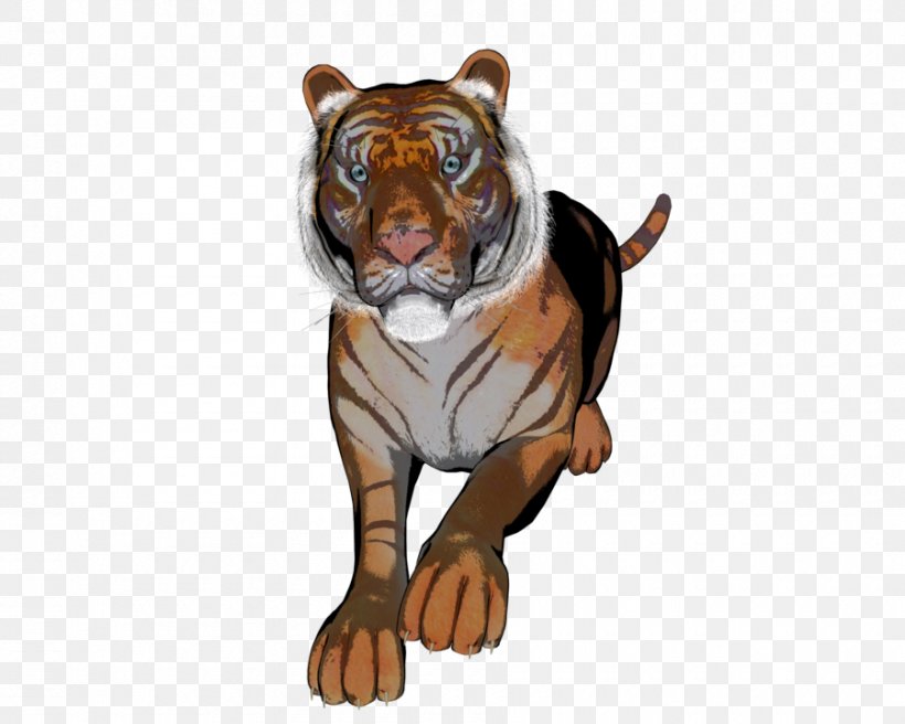 Tiger Lion Dog Canidae, PNG, 900x720px, Tiger, Animal, Big Cats, Canidae, Carnivoran Download Free