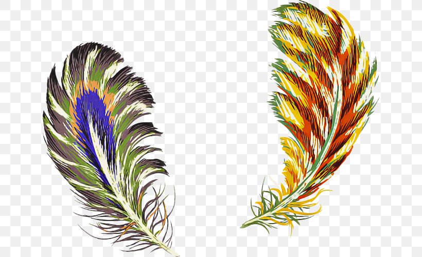 Feather, PNG, 654x500px, Feather, Fashion Accessory, Flower, Grass, Leaf Download Free