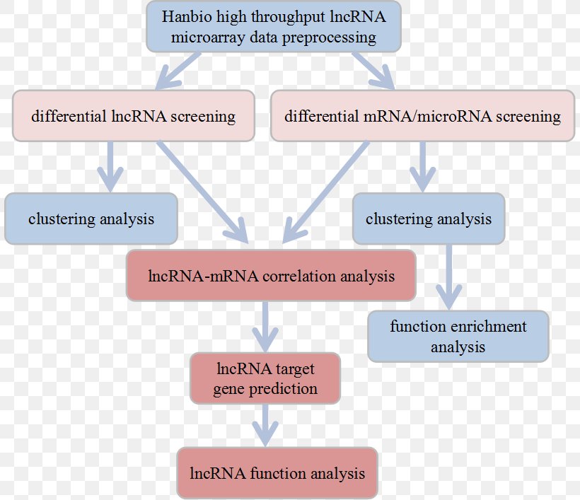 Long Non-coding RNA MicroRNA Bioinformatics Research, PNG, 808x707px, Long Noncoding Rna, Area, Bioinformatics, Brand, Communication Download Free