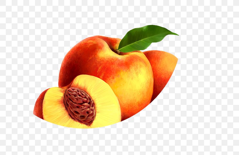 Peach Fruit Clip Art, PNG, 740x532px, Peach, Apple, Auglis, Creativity, Diet Food Download Free