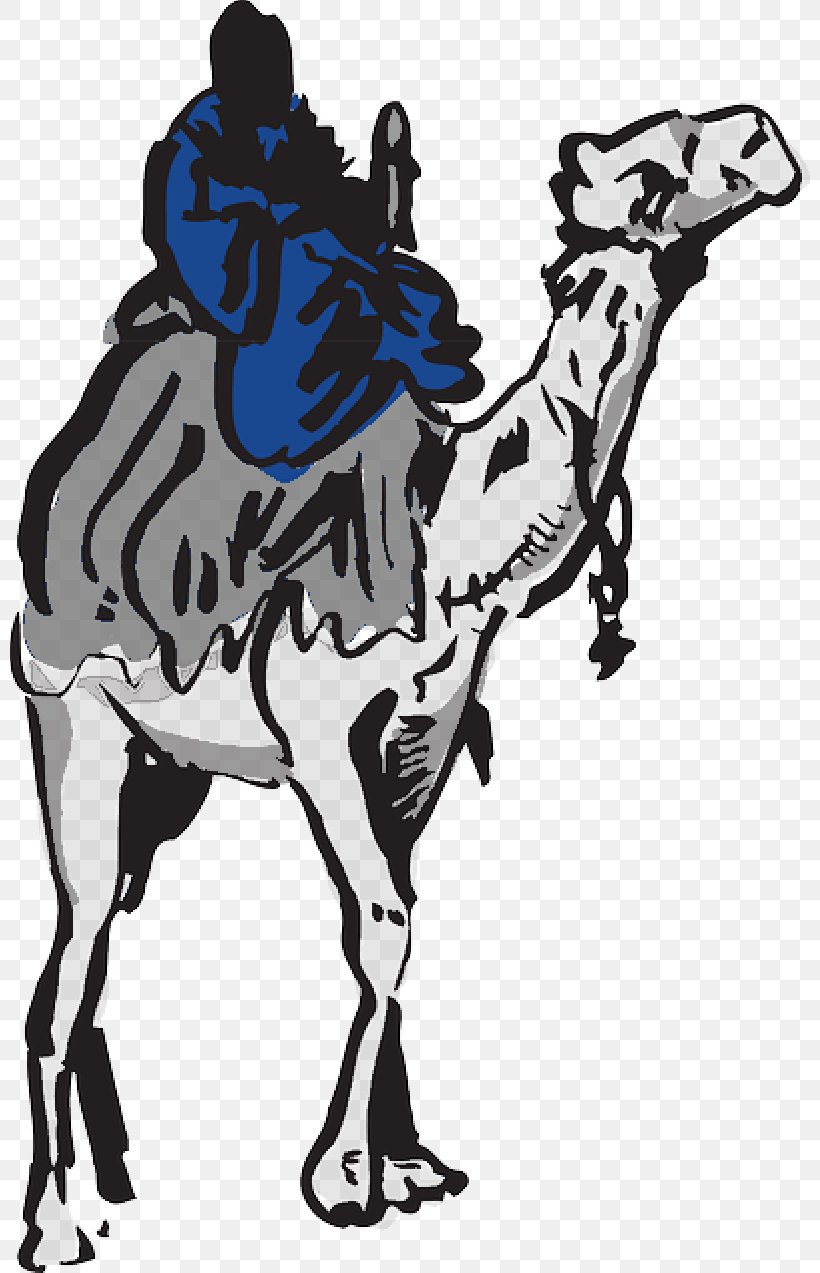Vector Graphics Clip Art Dromedary Image, PNG, 800x1273px, Dromedary, Arabian Camel, Art, Blackandwhite, Camel Download Free