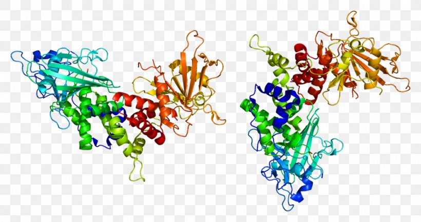 PTPRC Protein Tyrosine Phosphatase CD90 Human Leukocyte Antigen, PNG, 991x524px, Watercolor, Cartoon, Flower, Frame, Heart Download Free