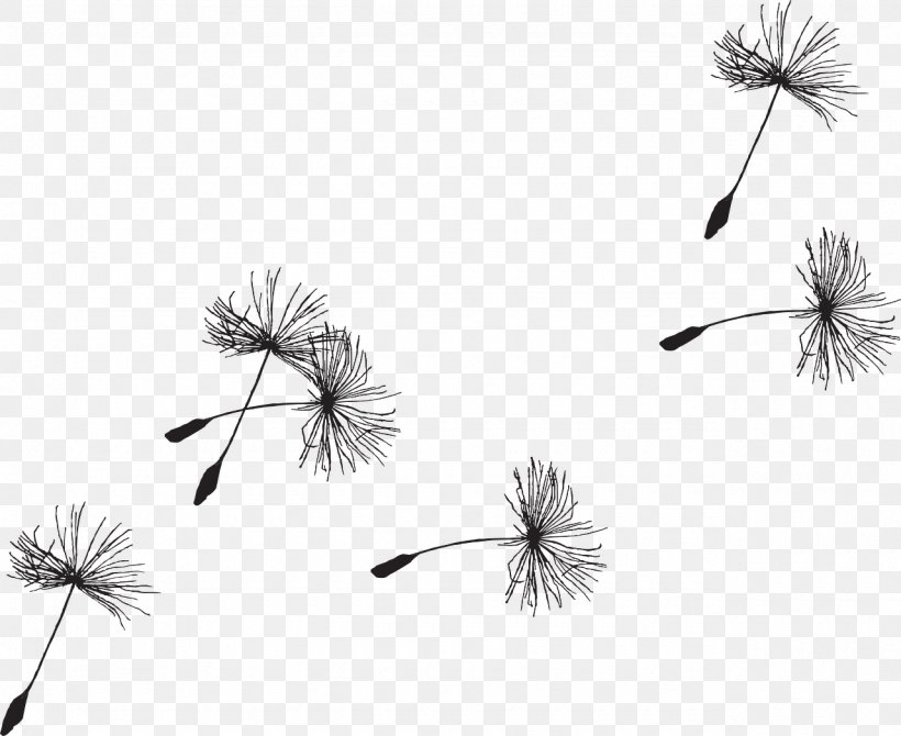 Seed Common Dandelion Clip Art, PNG, 1280x1047px, Seed, Black And White, Branch, Common Dandelion, Dandelion Download Free