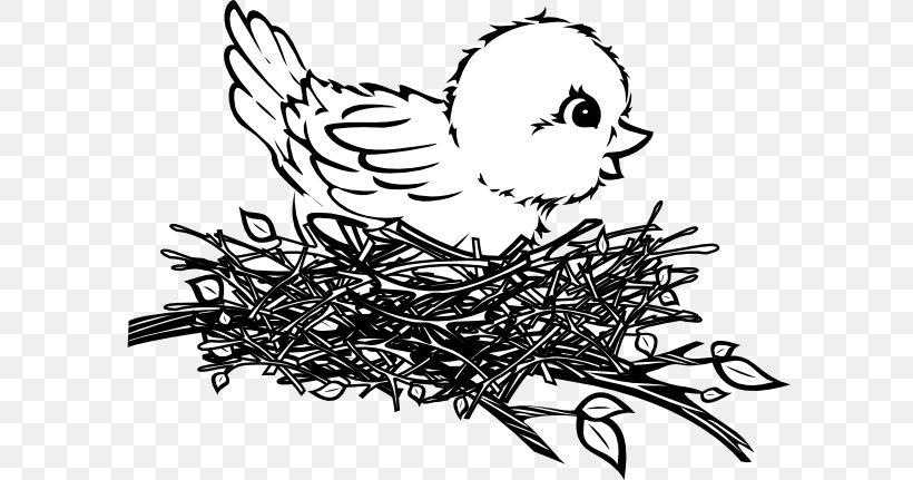 Bird Nest Bird Nest Drawing Clip Art, PNG, 600x431px, Bird, Art, Artwork, Beak, Bird Nest Download Free