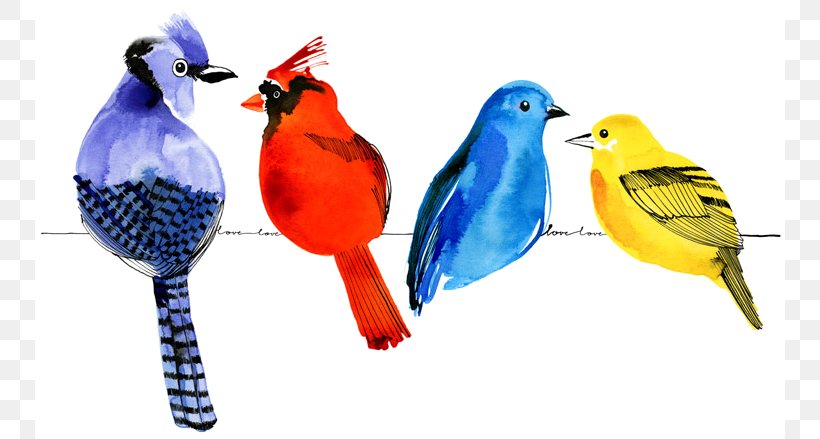 Bird Watercolor Painting Parrot Drawing Cartoon, PNG, 750x439px, Bird, Art, Beak, Cartoon, Collage Download Free
