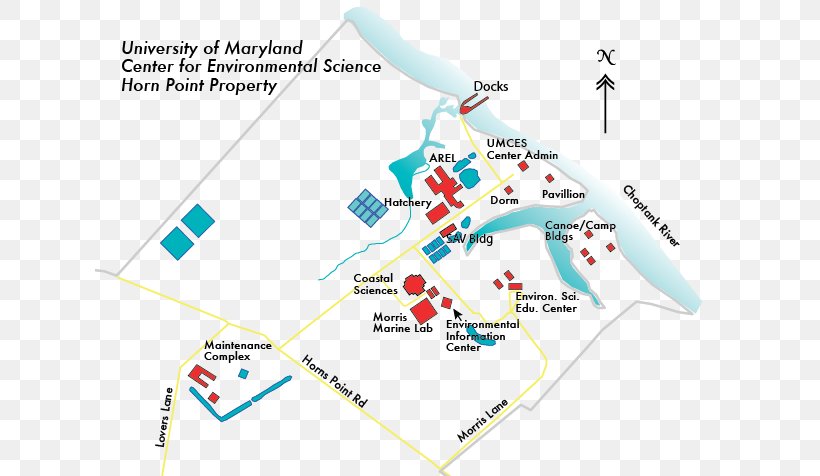 Cambridge University-Md Horn Point Lab Map Chesapeake Biological Laboratory, PNG, 630x476px, Cambridge, Area, Campus, Diagram, Laboratory Download Free