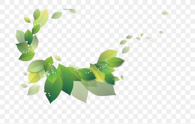 Clip Art, PNG, 800x522px, Information, Branch, Grass, Green, Leaf Download Free