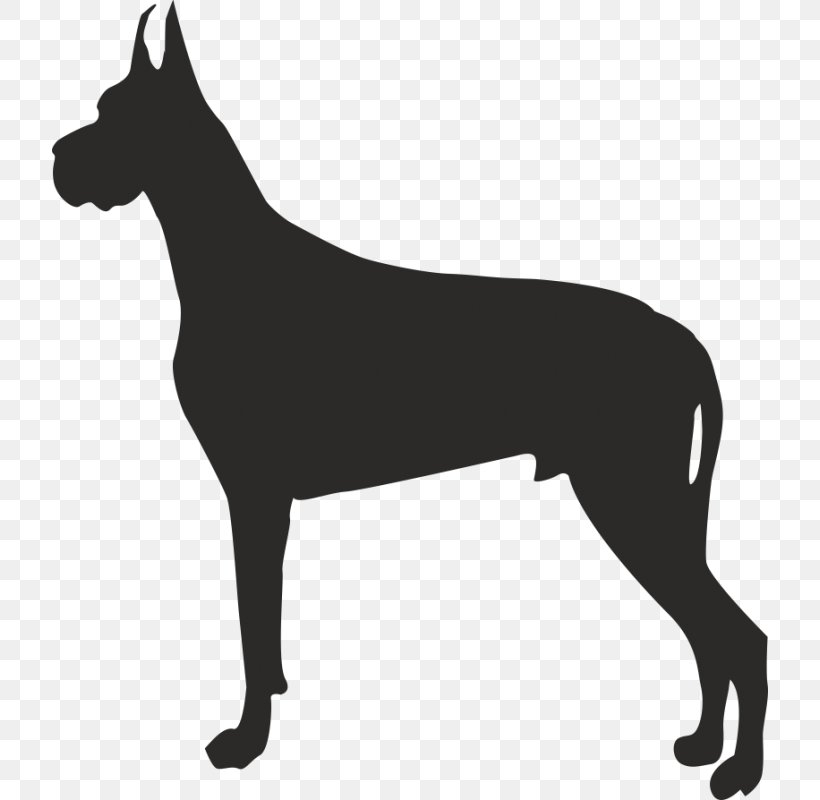 French Bulldog Dalmatian Dog Puppy, PNG, 800x800px, Bulldog, Ancient Dog Breeds, Animal, Black, Black And White Download Free