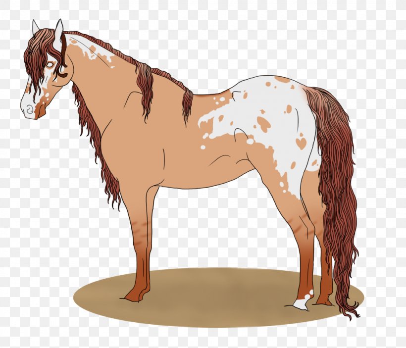 Mane Mustang Stallion Mare Colt, PNG, 1024x879px, Mane, Bridle, Colt, Halter, Horse Download Free