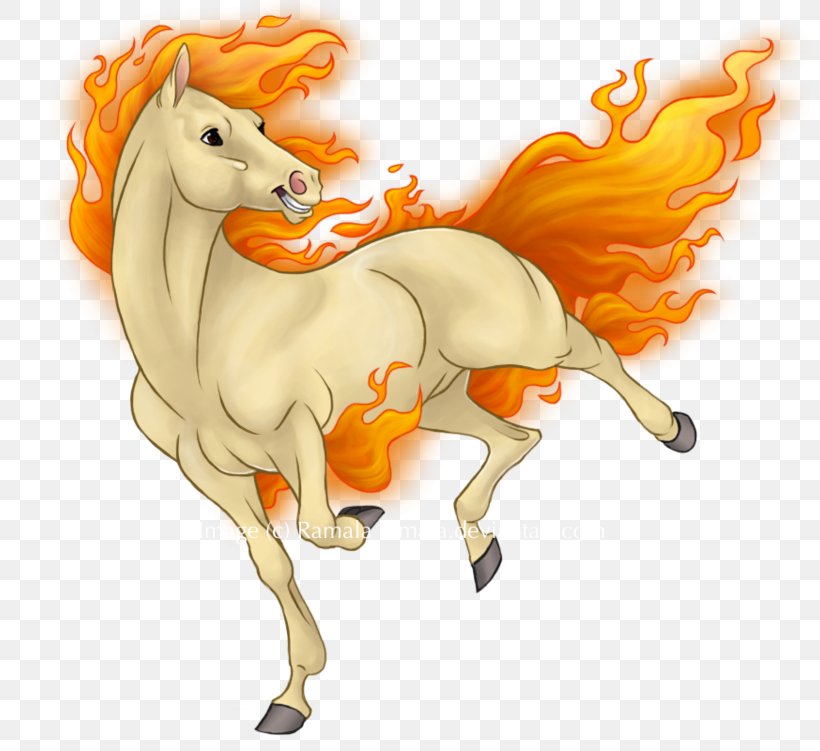 Mane Pony Mustang Drawing Stallion, PNG, 800x751px, Mane, Animal Figure, Art, Artist, Cartoon Download Free