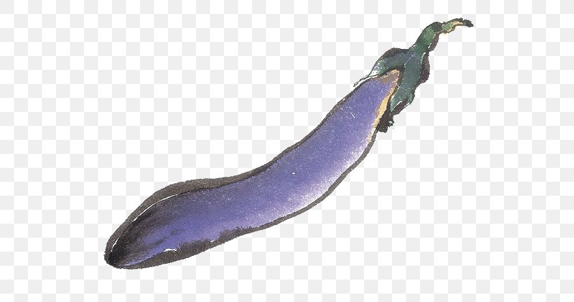 Purple Eggplant Vegetable Download, PNG, 600x432px, Purple, Eggplant, Google Images, Gratis, Vegetable Download Free