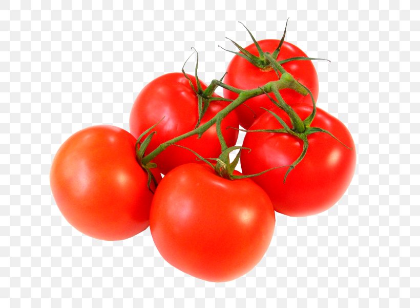 Chutney Cherry Tomato Vegetable Fruit Ingredient, PNG, 800x600px, Chutney, Bell Pepper, Berry, Bush Tomato, Capsicum Download Free