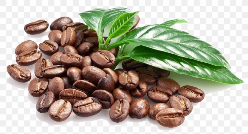 Coffee Bean Espresso Caffxe8 Macchiato, PNG, 1280x696px, Coffee, Bean, Cafe, Caffeine, Caffxe8 Macchiato Download Free