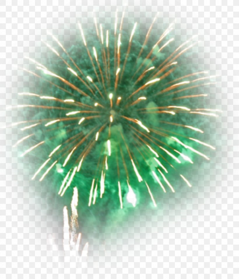 Fireworks Bû New Year Blog, PNG, 840x982px, Fireworks, Advertising, Blog, Book, Close Up Download Free