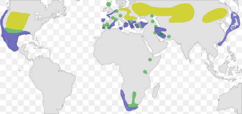 Grebes Of The World Black-necked Grebe Map Little Grebe, PNG, 1280x606px, Map, Area, Great Crested Grebe, Grebes, Little Grebe Download Free