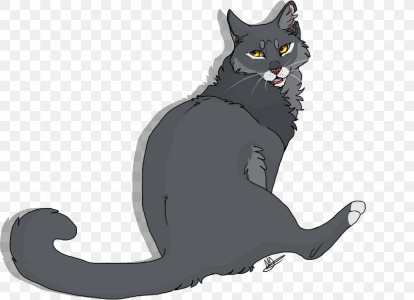 Korat Black Cat Kitten Whiskers Domestic Short-haired Cat, PNG, 1024x744px, Korat, Black, Black Cat, Black M, Canidae Download Free