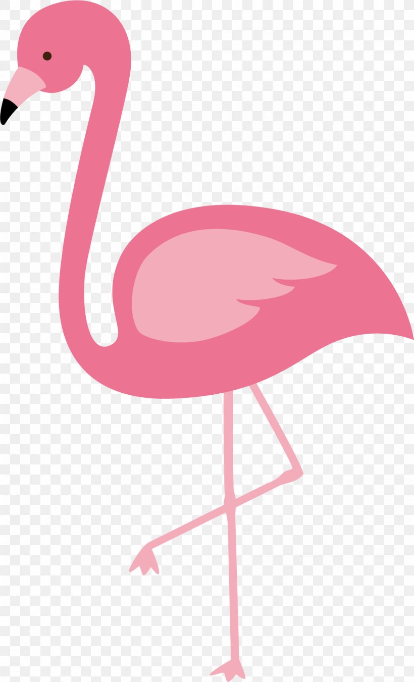 Flamingos Bird Euclidean Vector, PNG, 1124x1852px, Flamingo, Animation, Autocad Dxf, Beak, Bird Download Free
