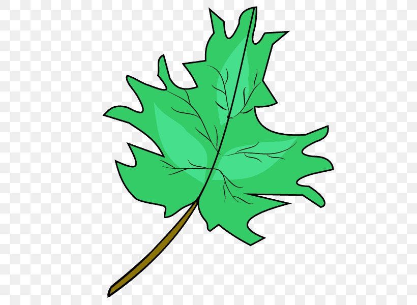 Maple Leaf Drawing Clip Art, PNG, 678x600px, Maple Leaf, Artwork, Cartoon, Drawing, Flora Download Free