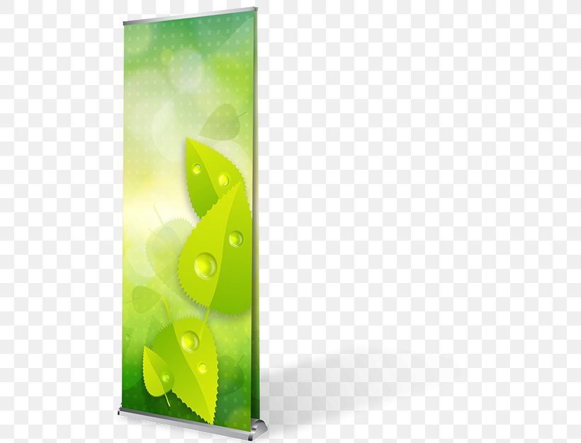 Rectangle, PNG, 563x626px, Rectangle, Advertising, Banner, Green, Leaf Download Free