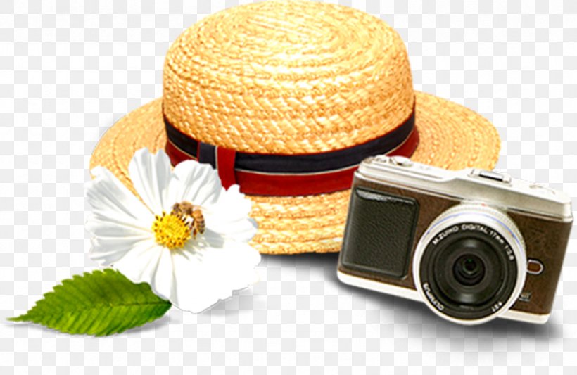 Straw Hat, PNG, 846x550px, Straw Hat, Cameras Optics, Cap, Flat Cap, Gratis Download Free