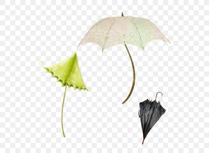 Umbrella Email Download Clip Art, PNG, 600x600px, Umbrella, Email, Leaf, Perion Network, Ping Download Free