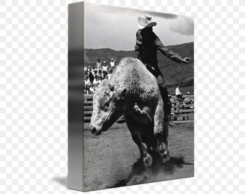 Stallion Mustang Cowboy Pack Animal Freikörperkultur, PNG, 492x650px, Stallion, Black And White, Bull, Cattle Like Mammal, Cowboy Download Free