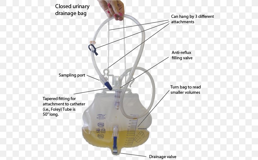 Urine Collection Device Foley Catheter Urinary Catheterization, PNG, 549x510px, Watercolor, Cartoon, Flower, Frame, Heart Download Free