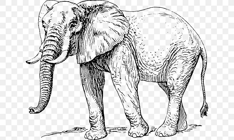 Asian Elephant African Elephant Elephantidae Drawing Clip Art, PNG, 640x492px, Asian Elephant, African Elephant, Animal Figure, Big Cats, Black And White Download Free