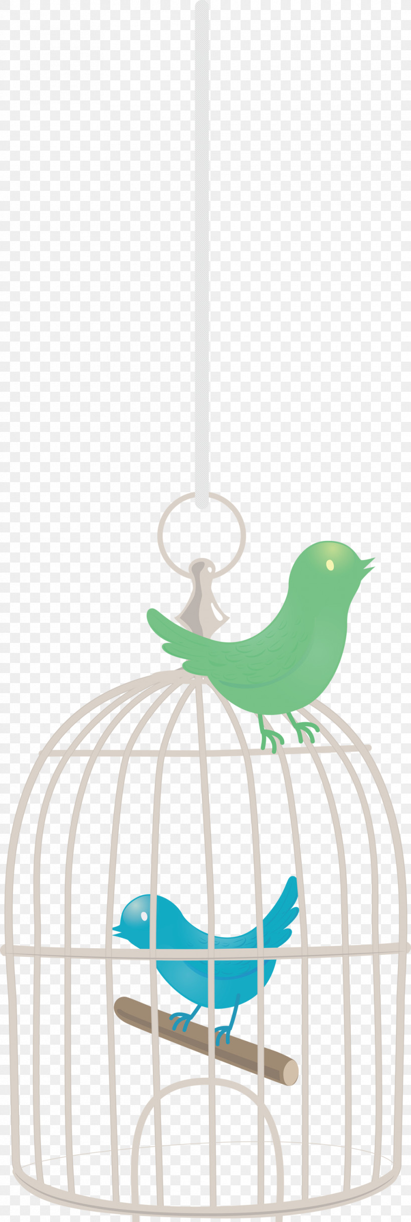 Bird Cage, PNG, 1011x3000px, Bird Cage, Beak, Biology, Birds, Ceiling Download Free