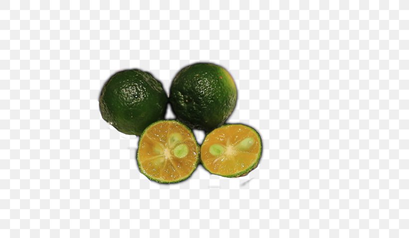 Persian Lime Tangelo Key Lime Volkamer Lemon, PNG, 533x478px, Key Lime, Bitter Orange, Citric Acid, Citrus, Citrus Japonica Download Free