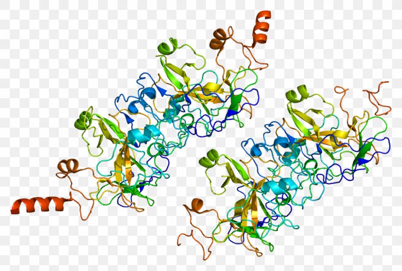 EHMT2 Histone Methyltransferase Epigenetics, PNG, 976x658px, Histone, Area, Biochemistry, Epigenetics, Euchromatin Download Free