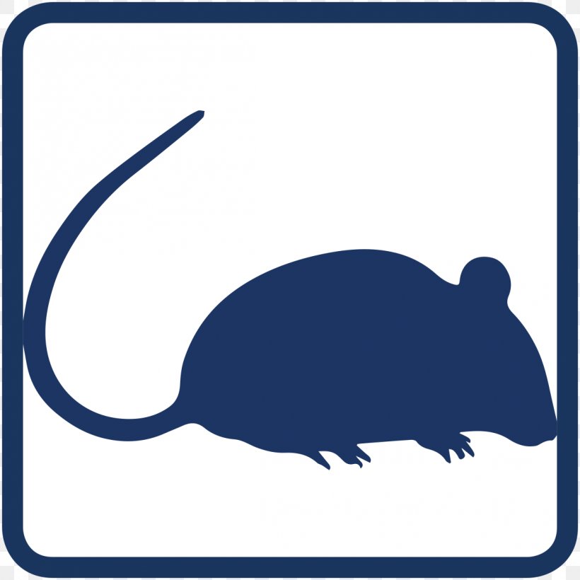Mouse Rodent Black Rat Clip Art, PNG, 1155x1155px, Mouse, Artwork, Black Rat, Fancy Rat, Fauna Download Free