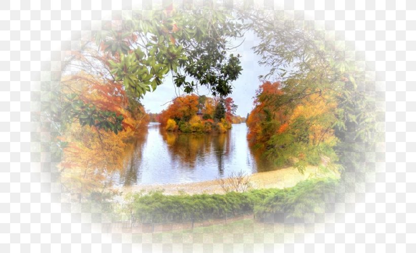 TinyPic Photography, PNG, 699x499px, Tinypic, Blog, Collage, Landscape, Landscape Painting Download Free