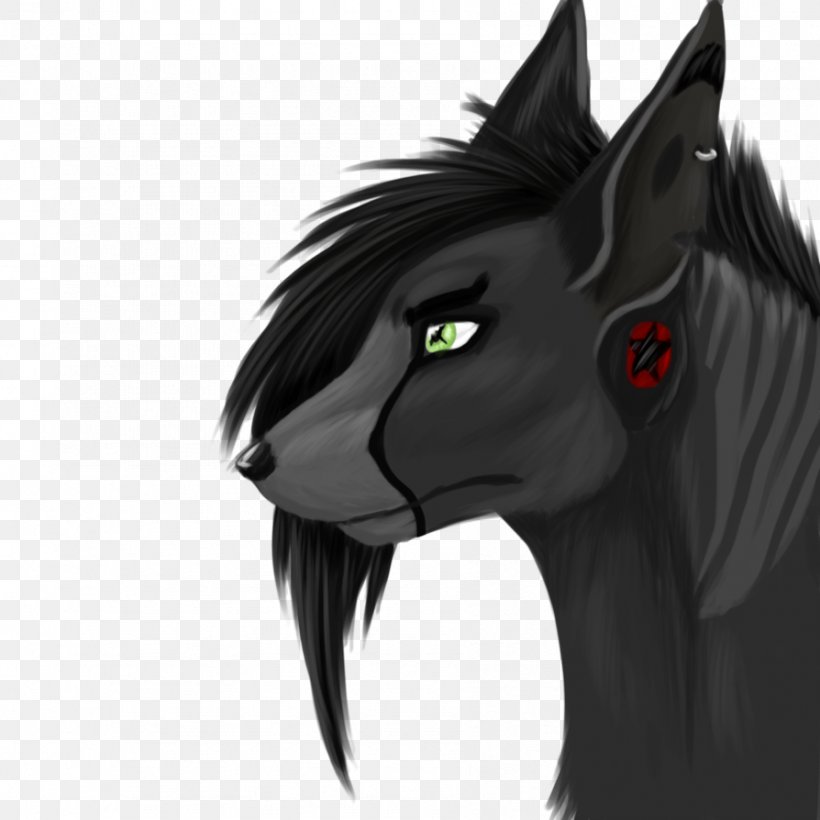 Whiskers Mustang Cat Pony Demon, PNG, 894x894px, 2019 Ford Mustang, Whiskers, Black, Black And White, Black M Download Free