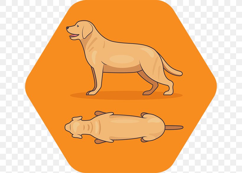 Dog Breed Puppy Weight Measuring Scales, PNG, 650x585px, Dog Breed, Big Cats, Carnivoran, Cartoon, Cat Like Mammal Download Free