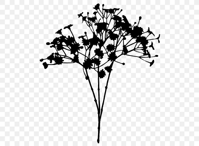 Flower Plant Stem Leaf Font Line, PNG, 800x600px, Flower, Blackandwhite, Botany, Branch, Cut Flowers Download Free