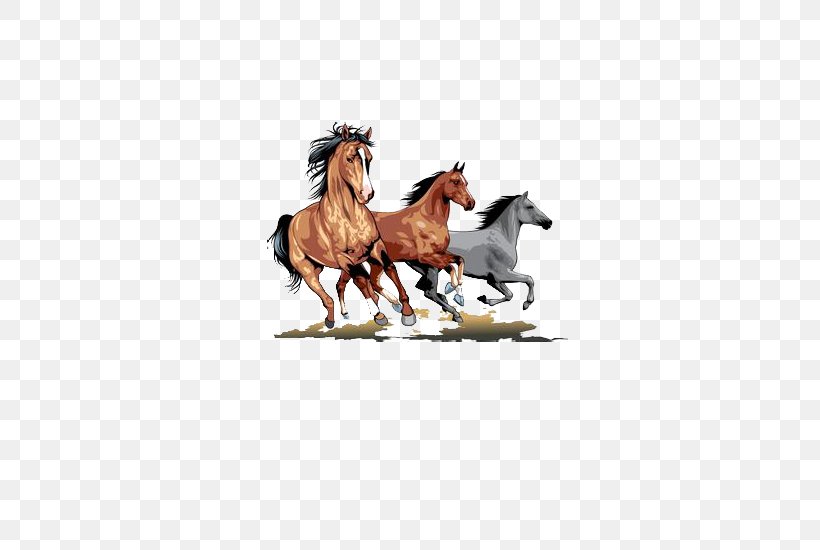 Mustang Stallion Wild Horse Clip Art, PNG, 600x550px, Mustang, Equestrianism, Horse, Horse Gait, Horse Like Mammal Download Free